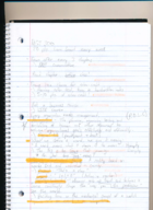 MGT 300 Notes: Week 1