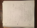 Week 1 notes