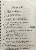 Microbiology, Week 2 Notes