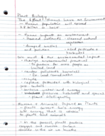 Plant Biology Notes