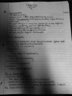 Comm 370 Week 1 Notes