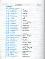Spanish III - Vocab and Notes, Week 1