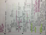 Advanced Anatomy and Physiology-Week 1