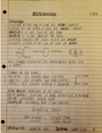 Neuroanatomy Lecture Notes