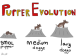 Evolution of Puppers - Tester