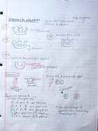 Algebra Physics II ; Week 2 (Monday) (8/29/16)