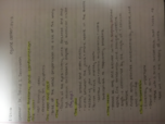 Intro to Equine Science, week 1 notes