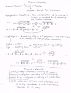 Macromolecules