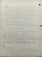 Week 2 Notes