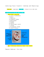 Audiology Topic 3 (part1)