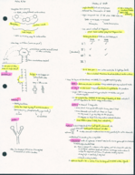 Class & Book Notes Molec Week 2
