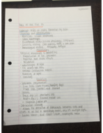 Micro week 2 notes