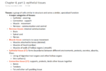 Chapter 4; part 1 - Epithelial Tissues