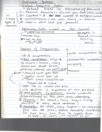 Honors Exploring Business Week 2 Notes 