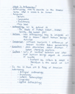 What Is Anthropology?