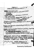 Week 3-Lecture Notes