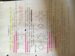 Life 102, chapter 4 notes