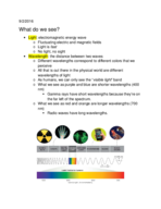 Chapter 3.2 Notes