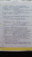 Chapter 3 notes