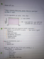 MNGT 482, Week 1 Notes