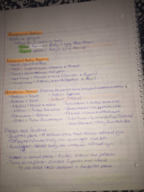 Human Anatomy and Physiology - Week 1