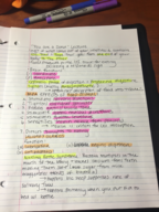Week 2 Lecture Notes