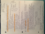 Government notes Chapter 2