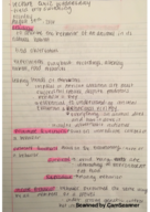 Class Notes Week 