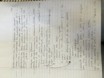 Sociology of Gender Week 2 Lecture 1