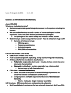 Biochemistry Notes - Lecture 1