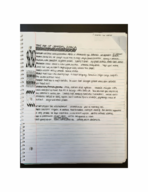 Art of Central Africa Notes Week 1