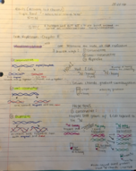Genetics Week Two 
