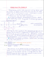 Chap 8 - the DNA replication