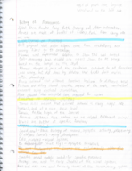 Neuroscience week 1 & 2 notes