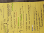 HRM 1101 WEEK 1-3 NOTES