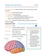 PSYC101, Week 3, Biological Neuro/Brain 2