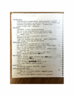Art of 1960s Class Notes
