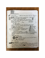 Art of Central Africa Notes Week2