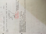 Criminal Justice Week 1