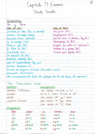 Spanish III Study Guide for Capitulo 11