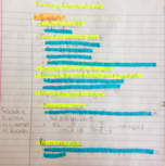 Cell bio