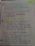 Botany Notes Week 2