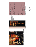 Intro Microbiology
