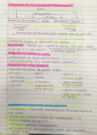 ACIS Week 2