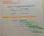 ACIS Week 3 Notes