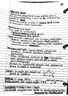 Week 4-Lecture