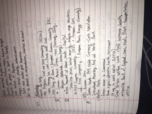 History 1400 week 2