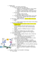 Anatomy notes for weeks 1-4