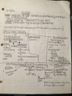 Introduction to Filmmaking Week 3 and 4 Notes