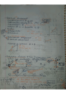 Physics 1 Week 3-4 Notes